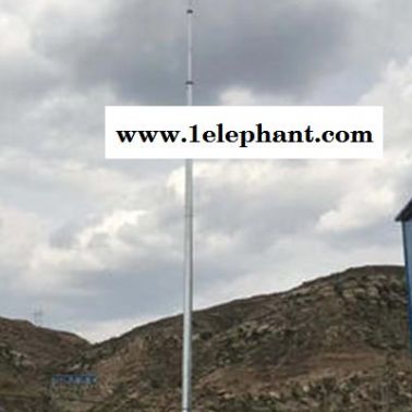 建筑物仿生树避雷塔生产厂家-安一方防雷检测公司