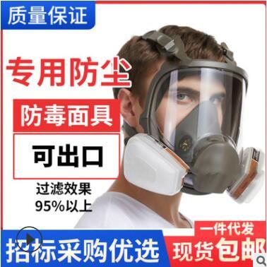 现货6800硅胶全套面具 农药喷漆化工全口罩 放粉尘打磨活性防尘罩
