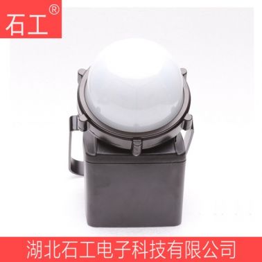 防爆泛光装卸灯 ZY4210 12W12V/4.4AH