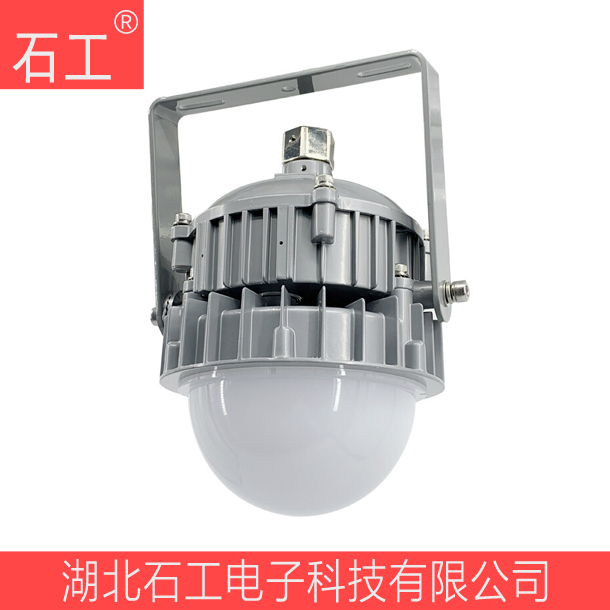 防水防尘防腐灯\NFC9190弯杆式 30W 220V\海洋王（含安装附件）