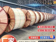 国标架空线钢芯铝绞线