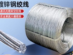 户外架空裸电线钢芯铝导线