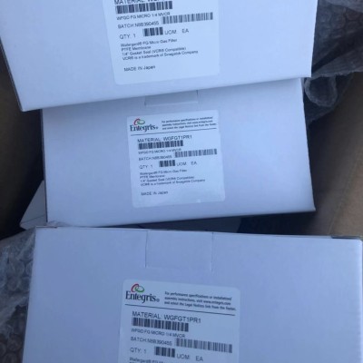Entegris英特格过滤器WGFGT1PR1